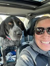 ❤️Sully, beautiful Bengal❤️