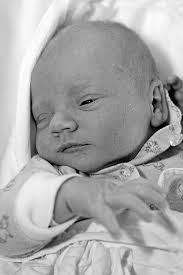 Fotogalerie: miminka_2510