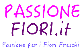Servizi di piatti da bomboniere stefan via porta est 10 a marcon (ve) by cale ankunding april 30, 2021 post a comment older posts powered by blogger may 2021 (5) Fiori Parma Passionefiori It Fiori Freschi A Casa Tua