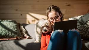 When does the 'stay at home' order go into effect? What Does A Stay At Home Order Mean 11 Questions Answered