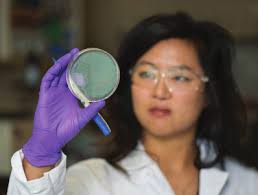 FINANCIAL INDUSTRIES DINNER 2019