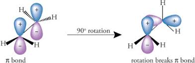 Solved Which Isomer Is More Stable, Trans-Decalin Or | Chegg.Com