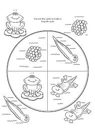 Frog Life Cycle Coloring Page For Kids Life Cycles Science Life Cycles Kindergarten Science