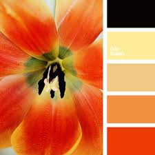 Black And Yellow Make What Color Color Palette 2379 Red Colour Palette Color Palette Color Balance