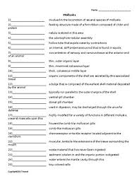 Mollusks Vocabulary Quiz Or Worksheet For Invertebrate Biology Tpt