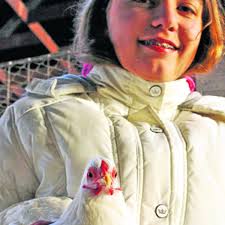 Kreisverbandsschau der Geflügelzüchter in der Uelzener Viehmarkthalle