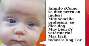 ¿qué es el veterinario en espanol? Pin En Comics