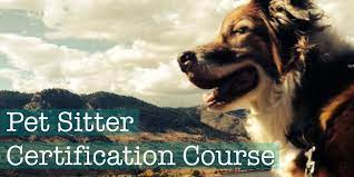 Online Certification For Pet Sitters And Dog Walkers