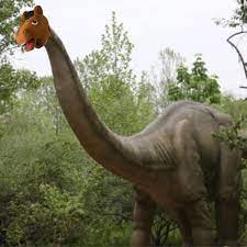 The team broncosaurus 2020 build 'broncosaurus rex' was designed by michael turk and the fabrication is headed up by one roy edwards. I Give You Billy The Broncosaurus Calpolypomona