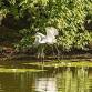 Bird Photography Workshop