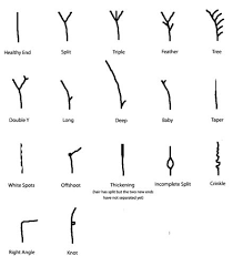 16 Life Truths Only Bottle Blondes Will Understand Natural Hair Styles Hair Breakage Hair Growth Charts