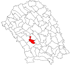 botoˈʃanʲ), commonly known as fc botoșani, is a romanian professional football club based in the city of botoșani, botoșani county, that competes in the liga i. BotoÈ™ani Familypedia Fandom