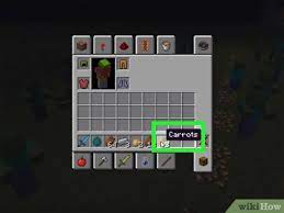 4 Ways To Plant Seeds In Minecraft Wikihow