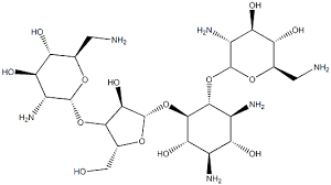 A list of us medications equivalent to fradiomycin is available on the drugs.com website. Fradiomycin C 22400 60 8