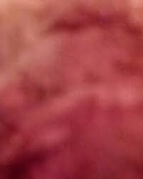 Image result for Lapointe the holy grail name