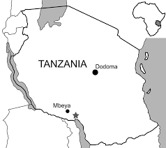 Image result for Carex cyrtosaccus