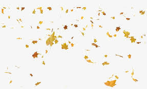Falling Autumn Leaves Png Free Download Falling Leaves Png Free Free Transparent Png Download Pngkey Transparent background fall leaf clipart. falling autumn leaves png free download