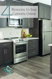 Buying Kitchen Cabinets Online For The Guest Suite Designed Decor Buy Kitchen Cabinets Online Kitchen Cabinets Cheap Kitchen Cabinets