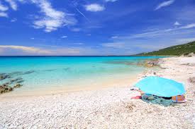 In the northern part of dugi otok, near to the village of verunic, is situated the most nice beach of the island. Dugi Otok And Sakarun Beach Croatia Placesofjuma