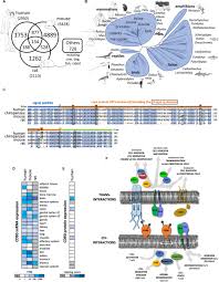 1,006 likes · 15 talking about this. Frontiers Cd90 Thy 1 A Cancer Associated Cell Surface Signaling Molecule Cell And Developmental Biology
