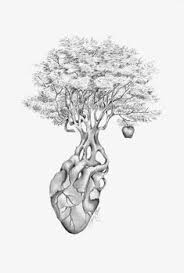 Draw the lower half of an acorn shape so it's tilted to the left. 52 Pencil Art Ideas In 2021 Pencil Drawings Art Drawings
