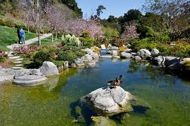 'korea day at balboa park' is a celebration of korea day held together with the korean cultural center in la and the house of korea in san diego . Balboa Park 17 World Class Museums