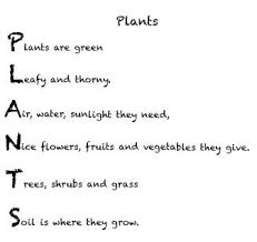 Grade 3 Poems Family Poems Acrostic Poems
