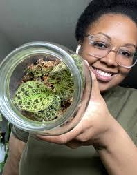 Indoor terrarium The gecko is fake Plants are real Jewel orchids with fancy  leaves Self growing moss and ferns And a moon plant Pilea mollis