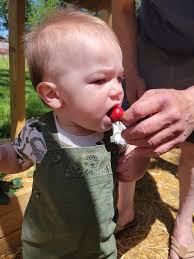 Like every year, it is now strawberry season and people order strawberry  Ocarinas.... I couldn't help myself when packing the Ocarinas I had to get  some strawberries immediately and make myself a