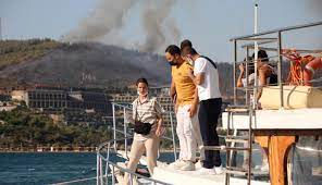 Maybe you would like to learn more about one of these? 3blliajp1ylrdm