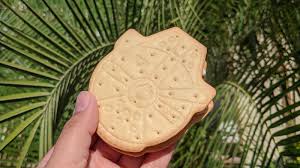 Check spelling or type a new query. Orlando Parks Jotter Spotted Star Wars Millennium Falcon Ice Cream Sandwiches At Publix
