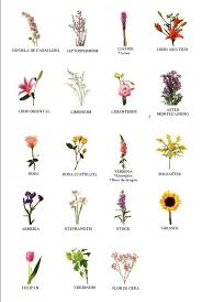 10 Kinds Of Flowers You Can Easily Offer Your Other Half On Her Birthday Party Flower Names Types Of Flowers Birth Month Flowers