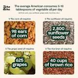 Seed Oils are bad for Humans