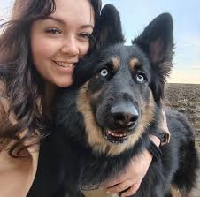 Chloe Jades Dog Walking Services