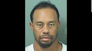 Tiger Woods Releases A Public Statement Post Arrest For Dui Tiger Woods Celebrity Mugshots Suspicion