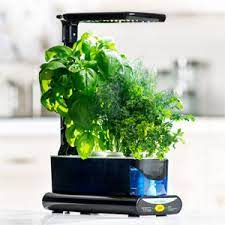 Aerogarden Gourmet Herb Seed Pod Kit 7 Pod Amazon Ca Everything Else