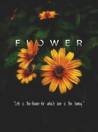 Blossom Gelbe Blute Zitat Wallpaper Erstellt In Adobe Photoshop Stockfoto Bild Von Nave Tapete 168778862 Laecheln andere zitate sind auf anfrage ohne zusaetzliche kosten, ich liebe setzen laecheln auf die gesichter der menschen zu motivieren und mit. blossom gelbe blute zitat wallpaper