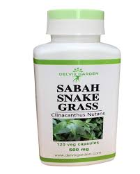 There have been news circulating in various news outlets in asia, may they be printed or digital, that disseminate the reported benefits of this herb. Amazon Com Sabah Snake Grass Capsules Clinacanthus Nutans For Healthy Liver Kidney And Overall Health 500 Mg X 120 Caps Grocery Gourmet Food