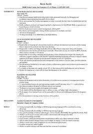 All the direction you need to showcase opportunity during your next job search! Backend Developer Resume Samples Velvet Jobs