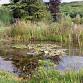 How to Make a Wildlife Pond – Design Course event image