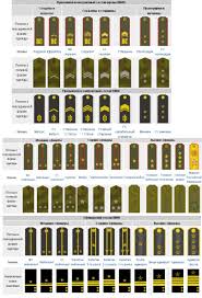 78 Unmistakable Military Rank Comparisons