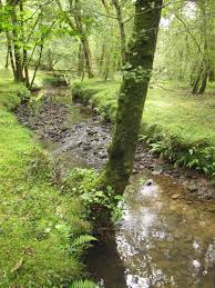 Les landes de Hasparren