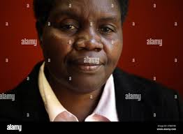 Lucia in london hi-res stock photography and images