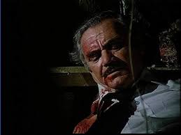 Der Geist von Flug 401 : Borgnine, Ernest, Lockwood, Gary, Basinger, Kim,  Chen, Tina, Hesseman, Howard, Johnson, Russell, Clancy, Tom, Stern, Steven  Hilliard: Amazon.nl: Films & tv