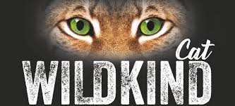 Versuchen sie, der katze keinen zusätzlichen stress zu verursachen. Paarungsbereitschaft Einer Katze Tierische Tipps Von Das Futterhaus