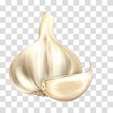 Garlic Garlic Cartoon Vegetable Cartoon Garlic Transparent Background Png Clipart Vegetable Cartoon Clip Art Farm Cartoon