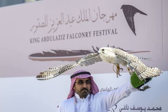 الرياض