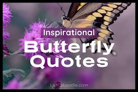 49 Best Butterfly Quotes Inspiring Sayings Listcaboodle Every day we present the best quotes! 49 best butterfly quotes inspiring