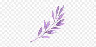 Background design resources · iphone, zoom backgrounds & desktop hd wallpapers. Leaf Purple Plants Plant Tumblr Editpng Pngedit Purple Flowers Aesthetic Png Transparent Png 350x365 5021547 Pngfind