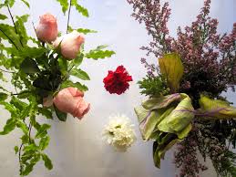 We did not find results for: Where Are The Best Fresh Cut Flowers Sold Six Twists